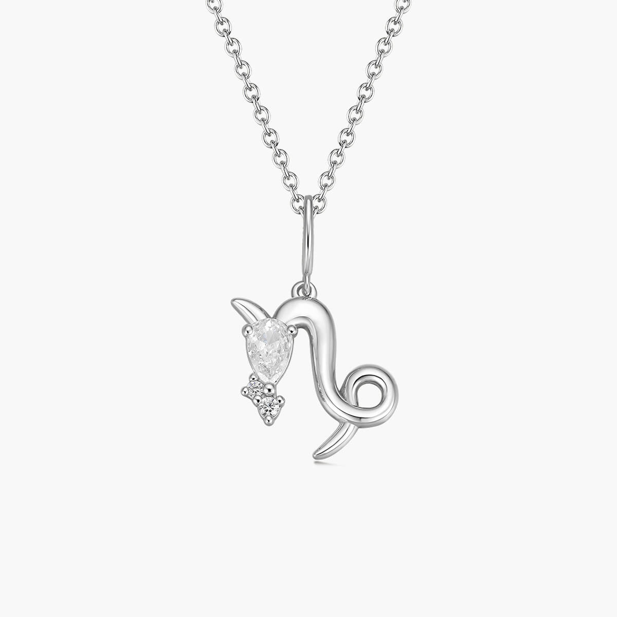 Capricorn Zodiac Necklace