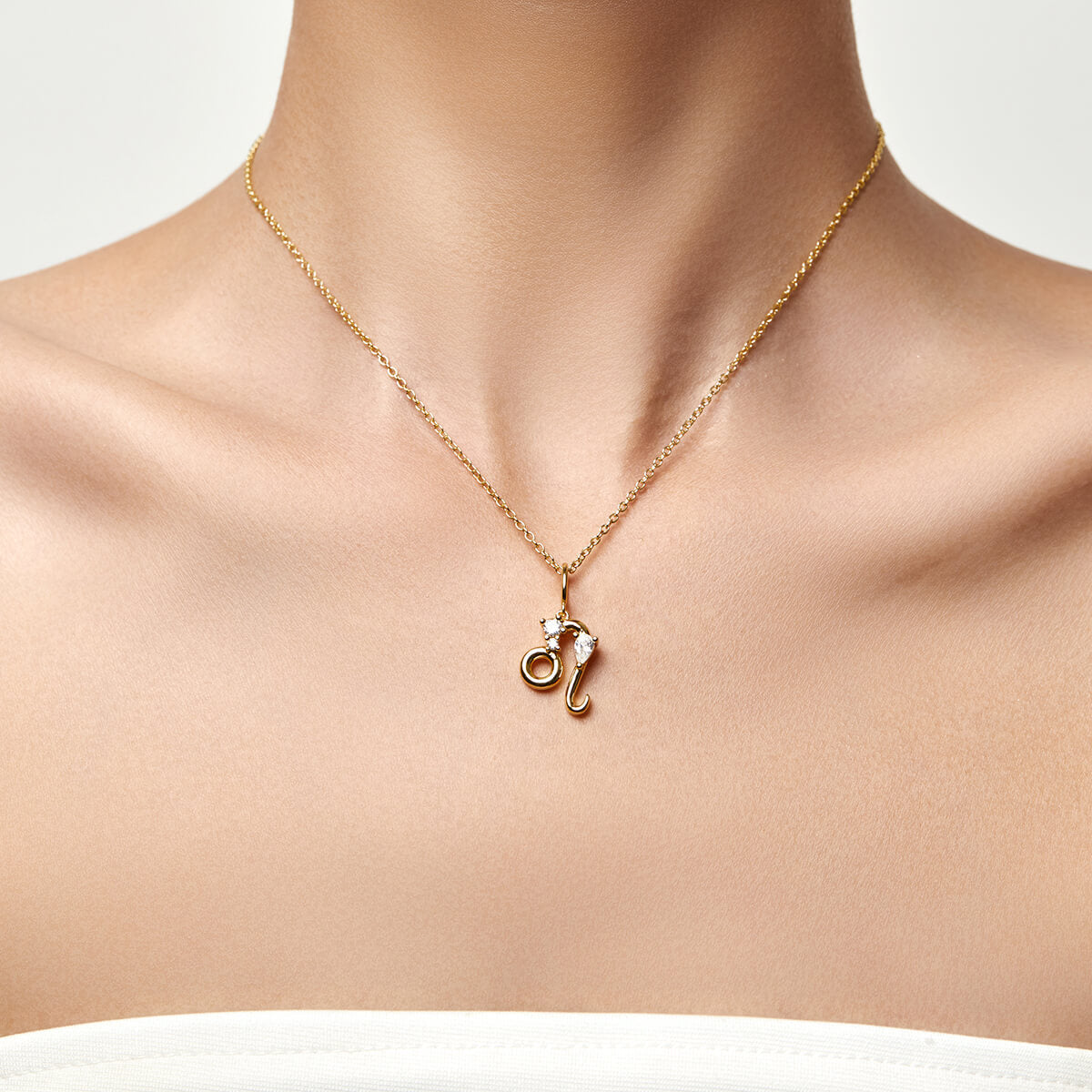 Leo Zodiac Necklace