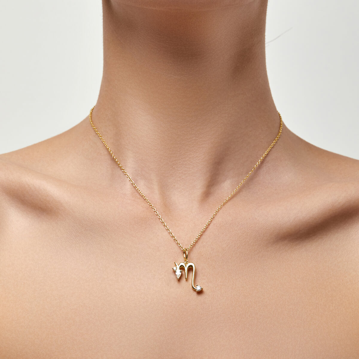 Scorpio Zodiac Necklace