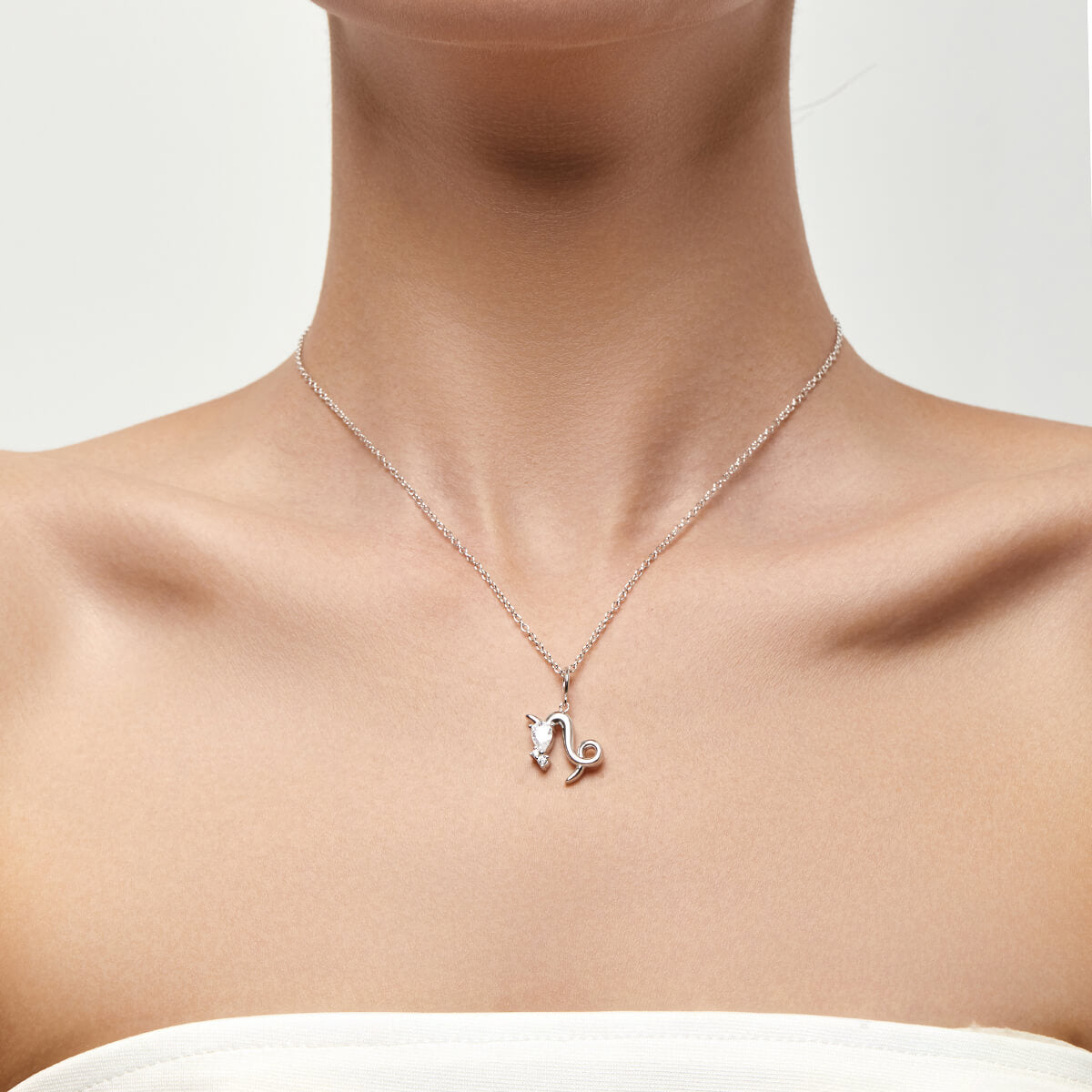 Capricorn Zodiac Necklace