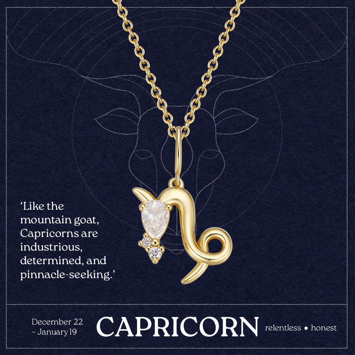 Capricorn Zodiac Necklace