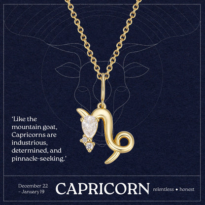 Capricorn Zodiac Necklace