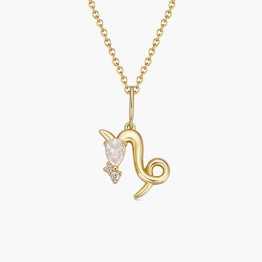 Capricorn Zodiac Necklace