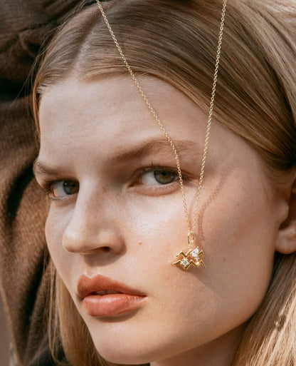 Aquarius Zodiac Necklace