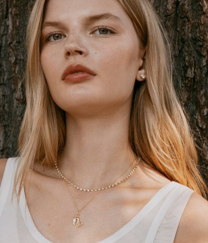 Capricorn Zodiac Necklace