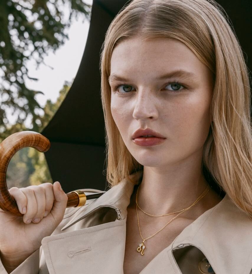 Leo Zodiac Necklace