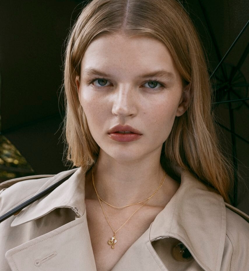 Leo Zodiac Necklace